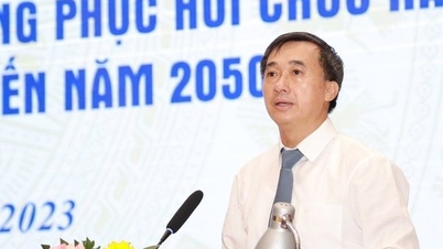 재활 시스템의 어려움을 단계적으로 제거