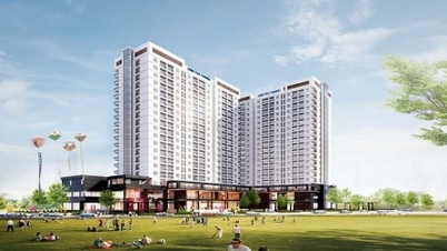 Nhà Đất Việt lỗ ròng 5 quý liên tiếp
