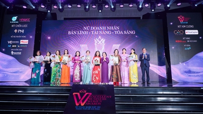 8 talented, brave and shining 'diamond roses'