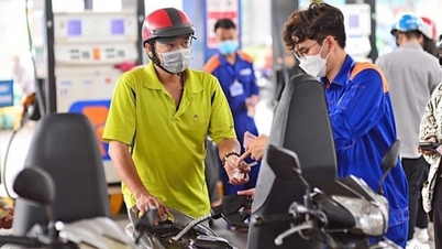 Thế giới tăng nhẹ; trong nước chiều nay sẽ tăng hay giảm?