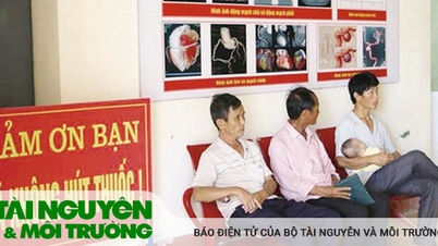 Phê duyệt Chiến lược quốc gia về phòng, chống tác hại của thuốc lá