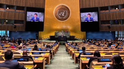 United Nations General Assembly adopts Vietnam-proposed resolution on International Day of Play