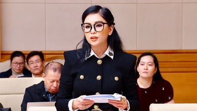 Four proposals to promote tourism by CEO Le Hong Thuy Tien