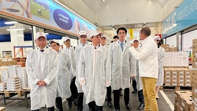 Tham khảo kinh nghiệm từ Pháp, nâng cấp chợ đầu mối tại TPHCM để thu hút du khách