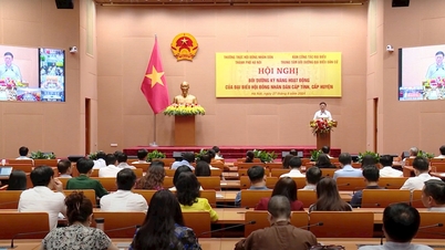 បណ្តុះបណ្តាលជំនាញត្រួតពិនិត្យដល់ប្រតិភូក្រុមប្រឹក្សាប្រជាជន ២ កម្រិត