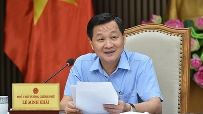 Phó thủ tướng: So sánh phí vận chuyển Bắc - Nam đắt gấp đôi đi Mỹ khó chính xác