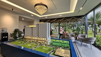 Bà Rịa - Vũng Tàu nhiều cơ hội trở thành trung tâm kinh tế biển khu vực phía Nam