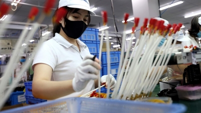 Ministry of Planning and Investment proposes 7 reforms of investment incentive policies
