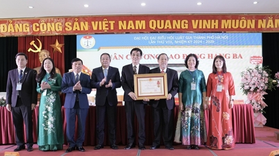 គណៈមេធាវីទីក្រុងហាណូយទទួលបានមេដាយការងារថ្នាក់ទី៣