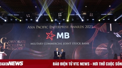 MB 'thắng lớn' các giải thưởng trong nước và quốc tế