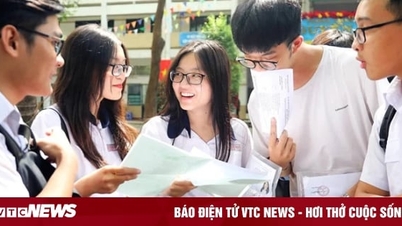 Thích khối C, D chọn ngành nào sẽ dễ xin việc?