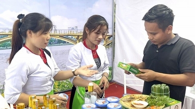 'Leverage' to help ethnic minority areas develop sustainably