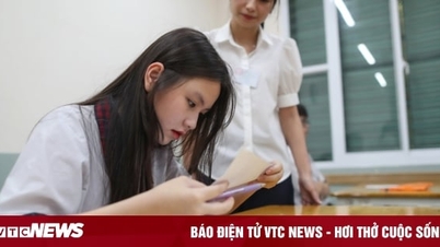 Which school will be easy to get a job in Logistics?