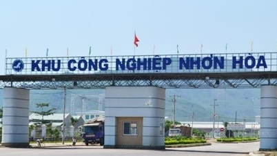 7 lĩnh vực Bình Định ưu tiên mời gọi nhà đầu tư