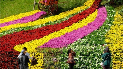 Đà Lạt rực rỡ trước thềm lễ hội Festival hoa 2024