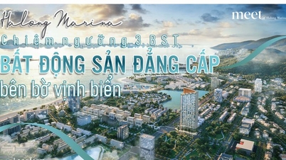 កោតសរសើរការប្រមូលអចលនទ្រព្យប្រណីតចំនួន 3 នៅលើឆ្នេរសមុទ្រ