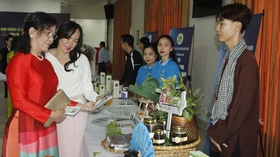 Ca Mau តភ្ជាប់ពាណិជ្ជកម្ម និងជជែកពិភាក្សាចែករំលែកបទពិសោធន៍ក្នុងវិស័យទេសចរណ៍ប្រកបដោយប្រសិទ្ធភាព