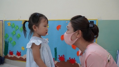 Để thu hút giáo viên mầm non, Sở GD-ĐT TP HCM chỉ đạo gì?
