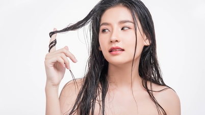 Rụng tóc nhiều do cơ thể thiếu chất gì?