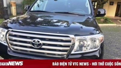 Đà Nẵng đấu giá 20 ô tô công dôi dư, khởi điểm hơn 2,5 tỷ đồng