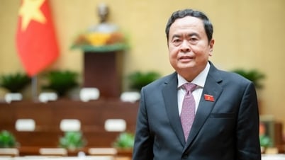 Promoting Vietnam's cooperation with Singapore and Japan on the parliamentary channel