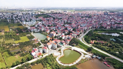 ស្រុក Dan Phuong កែសម្រួលគម្រោងចំនួន 14 ដែលមានផ្ទៃដី 3.3 ហិកតា