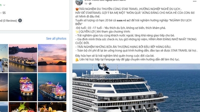 Lừa đảo miễn phí tour du thuyền 5 sao
