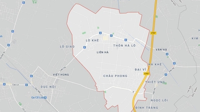 Huyện Đông Anh sắp đấu giá gần 4.000m2 đất ở xã Liên Hà