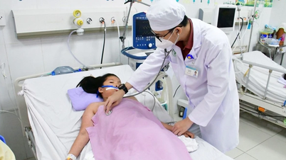 Mekong Delta: Children with encephalitis increase