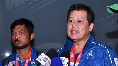Thai delegation leader resigns over brawl