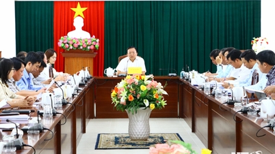 UBND tỉnh họp về đề xuất cập nhật, bổ sung hồ sơ quy hoạch sử dụng đất đến năm 2030