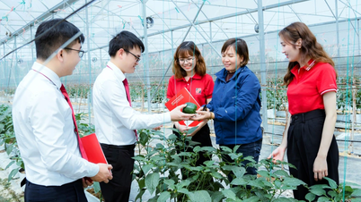 Agribank đẩy mạnh cung ứng vốn, đồng hành cùng doanh nghiệp vượt khó