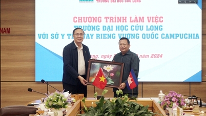 Cuu Long University received and worked with the Department of Health of Svay Rieng province