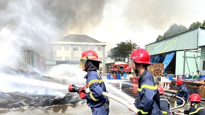 The scene of the devastating fire at a 3,000m2 wood workshop in Binh Duong