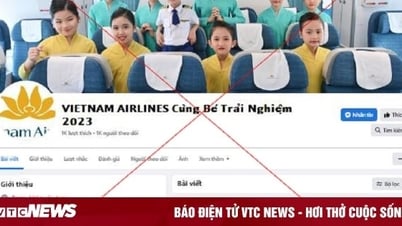 Xuất hiện nhiều trại hè hướng nghiệp hàng không giả mạo, Vietnam Airlines lên tiếng
