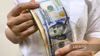 Cập nhật tỷ giá ngoại tệ, giá USD chợ đen hôm nay 23.1