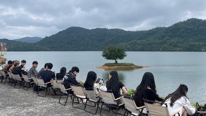 យុវជន​សម្រុក​ទៅ​ថត​រូប​ក្បែរ​ដើម​ឈើ​ឯកោ​ក្នុង​ខេត្ត Quang Nam