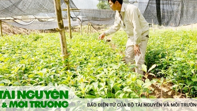 ការលើកកម្ពស់ជីវភាពជនជាតិភាគតិច តាមរយៈគោលនយោបាយប្រកបដោយប្រសិទ្ធភាព