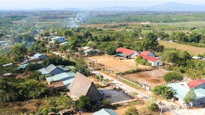 កម្មវិធីគោលដៅជាតិ ១៧១៩ រួមចំណែកផ្លាស់ប្តូរតំបន់ជនជាតិភាគតិចនៃស្រុក Dak Ha