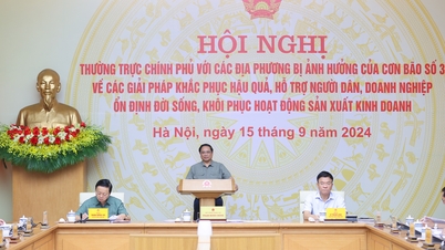 ការប៉ាន់ប្រមាណការខូចខាតដែលបង្កឡើងដោយព្យុះលេខ 3 គឺប្រហែល 40 ពាន់ពាន់លានដុង; កំណើន GDP ពេញមួយឆ្នាំអាចធ្លាក់ចុះ 0.15%