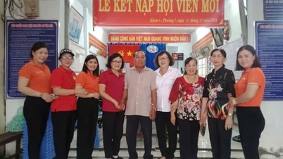 Tiếp tục đẩy mạnh triển khai thực hiện tốt công tác người cao tuổi trên địa bàn tỉnh