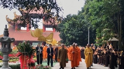 បណ្ឌិតសភាពុទ្ធសាសនាវៀតណាម ត្រៀមទទួលព្រះសង្ឃអានណាំ មកសិក្សា។