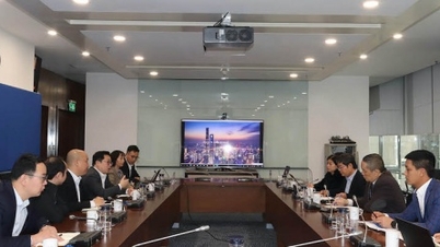 Tập đoàn Điện gió Shanghai Electric muốn hợp tác với EVN làm điện gió