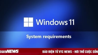 ក្រុមហ៊ុន Microsoft បដិសេធការបន្ថយតម្រូវការដំឡើង Windows 11