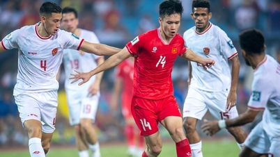 Giá vé xem trận tuyển Việt Nam gặp Indonesia ở AFF Cup rẻ bất ngờ