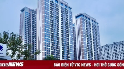 Thị trường bất động sản 2024 có hút dòng tiền lớn?