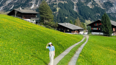 Die Schweiz in der Jahreszeit der gelben Blumen und des schmelzenden Schnees
