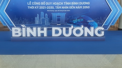 ផ្សព្វផ្សាយផែនការខេត្ត Binh Duong ដំណាក់កាល 2021-2030 ចក្ខុវិស័យដល់ឆ្នាំ 2050