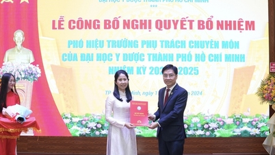 សាស្ត្រាចារ្យរង វេជ្ជបណ្ឌិត វេជ្ជបណ្ឌិត Vuong Thi Ngoc Lan ក្លាយជានាយករងនៃសាកលវិទ្យាល័យវេជ្ជសាស្ត្រ និងឱសថទីក្រុងហូជីមិញ