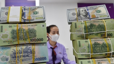 Giá USD ngân hàng giảm mạnh, mất mốc 24.500 đồng